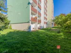 Prodej bytu 2+1, Mladá Boleslav - Mladá Boleslav II, Palackého, 64 m2