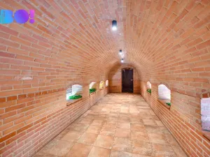 Prodej rodinného domu, Dyjákovice, 180 m2