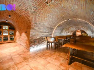 Prodej rodinného domu, Dyjákovice, 180 m2
