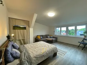 Pronájem bytu 1+1, Olomouc, Bořivojova, 50 m2