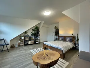 Pronájem bytu 1+1, Olomouc, Bořivojova, 50 m2