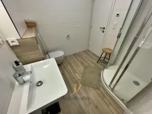 Pronájem bytu 1+1, Olomouc, Bořivojova, 50 m2