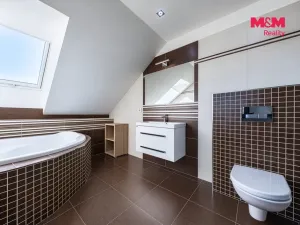 Prodej rodinného domu, Tábor - Čelkovice, V Polích, 300 m2