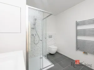 Pronájem bytu 1+kk, Plzeň - Jižní Předměstí, Železná, 33 m2