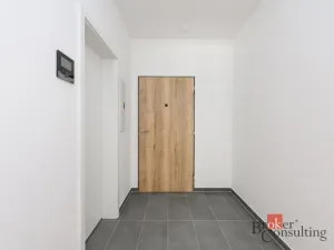 Pronájem bytu 1+kk, Plzeň - Jižní Předměstí, Železná, 33 m2