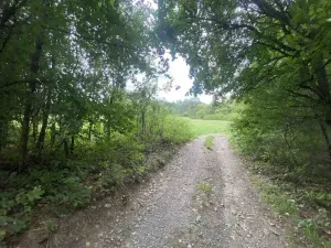 Prodej pole, Potštejn, 950 m2