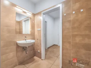 Pronájem bytu 2+1, Plzeň, 48 m2