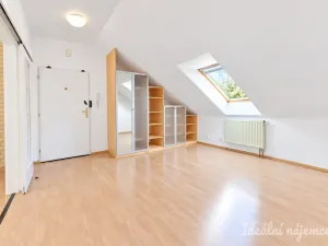 Pronájem bytu 3+kk, Brno, Vychodilova, 118 m2