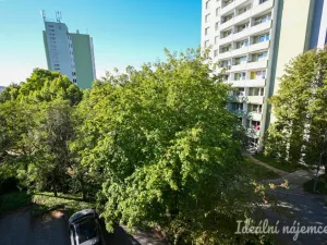 Pronájem bytu 3+kk, Brno, Vychodilova, 118 m2