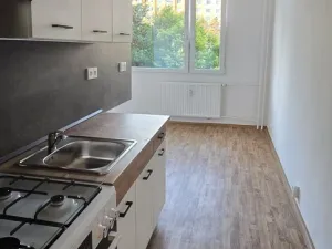 Pronájem bytu 1+1, Ústí nad Labem - Severní Terasa, Kmochova, 38 m2