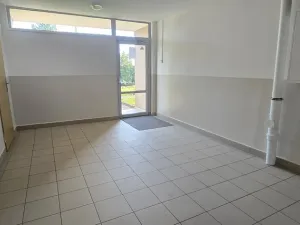 Pronájem bytu 1+1, Ústí nad Labem - Severní Terasa, Kmochova, 38 m2