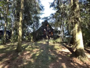 Prodej ostatní, Borová