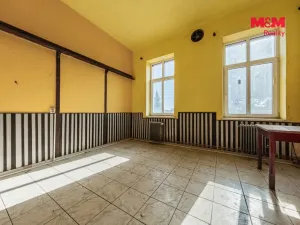 Prodej obchodního prostoru, Nová Ves - Vepřek, 600 m2