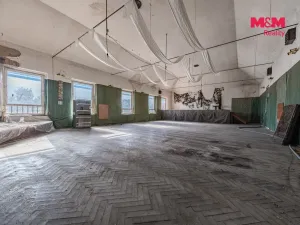 Prodej obchodního prostoru, Nová Ves - Vepřek, 600 m2
