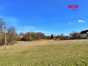 Prodej pozemku pro bydlení, Svojetín, 17686 m2