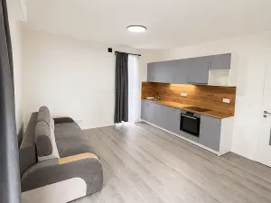 Pronájem bytu 2+kk, Kladno, Pavlisova, 46 m2