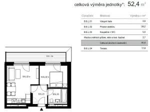 Pronájem bytu 2+kk, Brno, třída Generála Píky, 50 m2