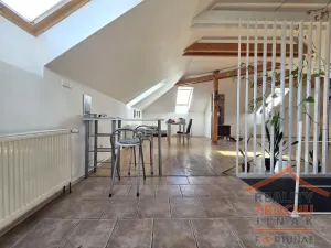 Prodej rodinného domu, Třebechovice pod Orebem - Krňovice, 230 m2
