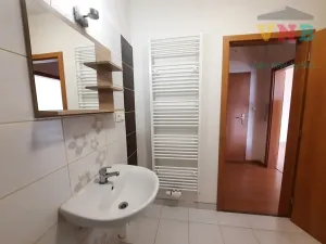 Pronájem bytu 1+kk, Prostějov, Aloise Krále, 43 m2