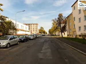 Prodej bytu 2+1, Cheb, Pastýřská, 50 m2