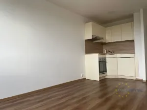 Pronájem bytu 1+kk, Praha - Chodov, Nad Opatovem, 31 m2