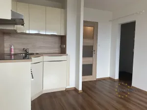 Pronájem bytu 1+kk, Praha - Chodov, Nad Opatovem, 31 m2
