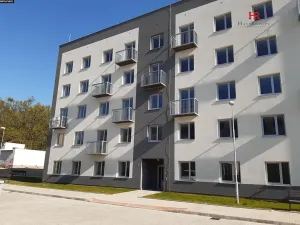 Prodej bytu 2+kk, Milovice, Višňová, 33 m2