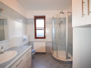 Pronájem rodinného domu, Plzeň - Újezd, Staroveská, 250 m2