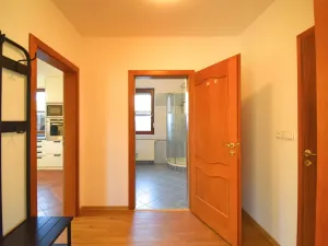 Pronájem rodinného domu, Plzeň - Újezd, Staroveská, 250 m2