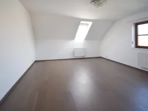 Pronájem rodinného domu, Plzeň - Újezd, Staroveská, 250 m2