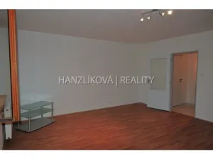 Pronájem bytu 1+kk, České Budějovice - České Budějovice 3, Fráni Šrámka, 30 m2