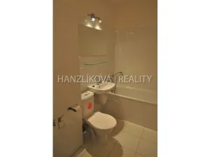 Pronájem bytu 1+kk, České Budějovice - České Budějovice 3, Fráni Šrámka, 30 m2