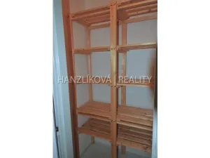Pronájem bytu 1+kk, České Budějovice - České Budějovice 3, Fráni Šrámka, 30 m2