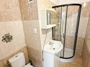 Pronájem bytu 1+kk, Chomutov, Kundratická, 25 m2