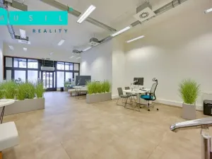 Pronájem obchodního prostoru, Olomouc, Horní náměstí, 300 m2