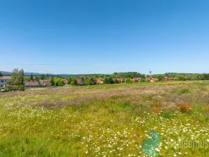 Prodej pozemku pro bydlení, Litvínovice, 1004 m2