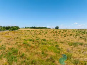 Prodej pozemku pro bydlení, Litvínovice, 1004 m2