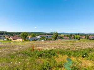 Prodej pozemku pro bydlení, Litvínovice - Šindlovy Dvory, 1002 m2