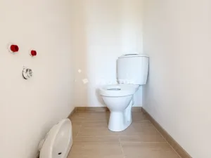 Prodej chaty, Kamýk nad Vltavou, 100 m2