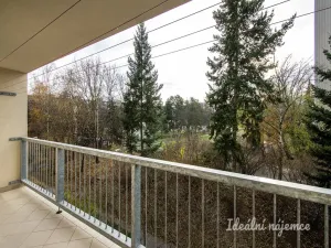 Pronájem bytu 2+kk, Praha - Prosek, Novoborská, 39 m2