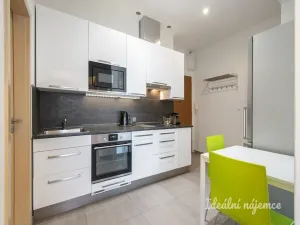 Pronájem bytu 2+kk, Praha - Nusle, Na Veselí, 50 m2