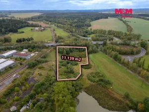 Prodej louky, Toužim, 11139 m2