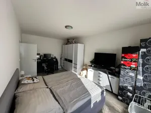 Pronájem bytu 2+1, Most, Zdeňka Fibicha, 56 m2