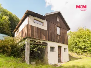 Prodej chaty, Stružnice - Bořetín, 489 m2