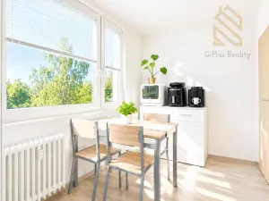 Prodej bytu 2+1, Ústí nad Labem - Střekov, Tolstého, 62 m2