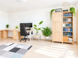 Prodej bytu 2+1, Ústí nad Labem - Střekov, Tolstého, 62 m2