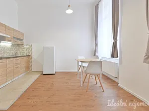Pronájem bytu 1+kk, Brno - Černá Pole, Erbenova, 26 m2