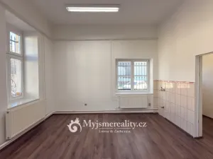 Pronájem ordinace, Znojmo, Kotkova, 46 m2