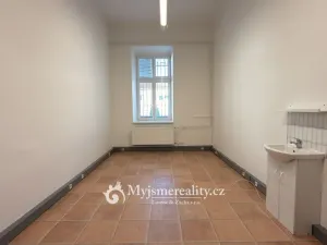 Pronájem ordinace, Znojmo, Kotkova, 46 m2