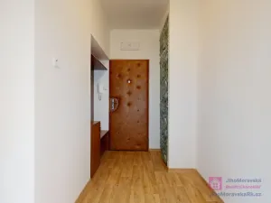 Pronájem bytu 3+1, Bořetice, 79 m2